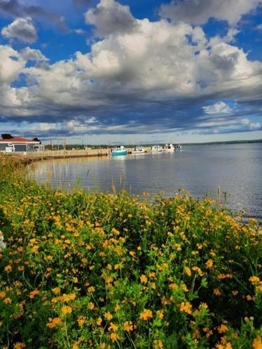 Willow House Inn B&B Пикту Экстерьер фото